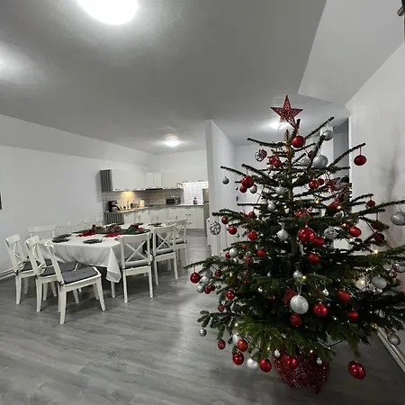Alio Homestay Zarnesti