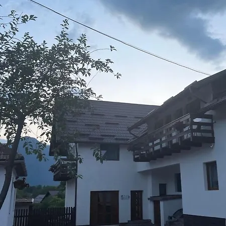 Alio * Zarnesti