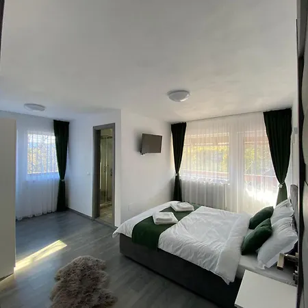 Alio Homestay Zarnesti